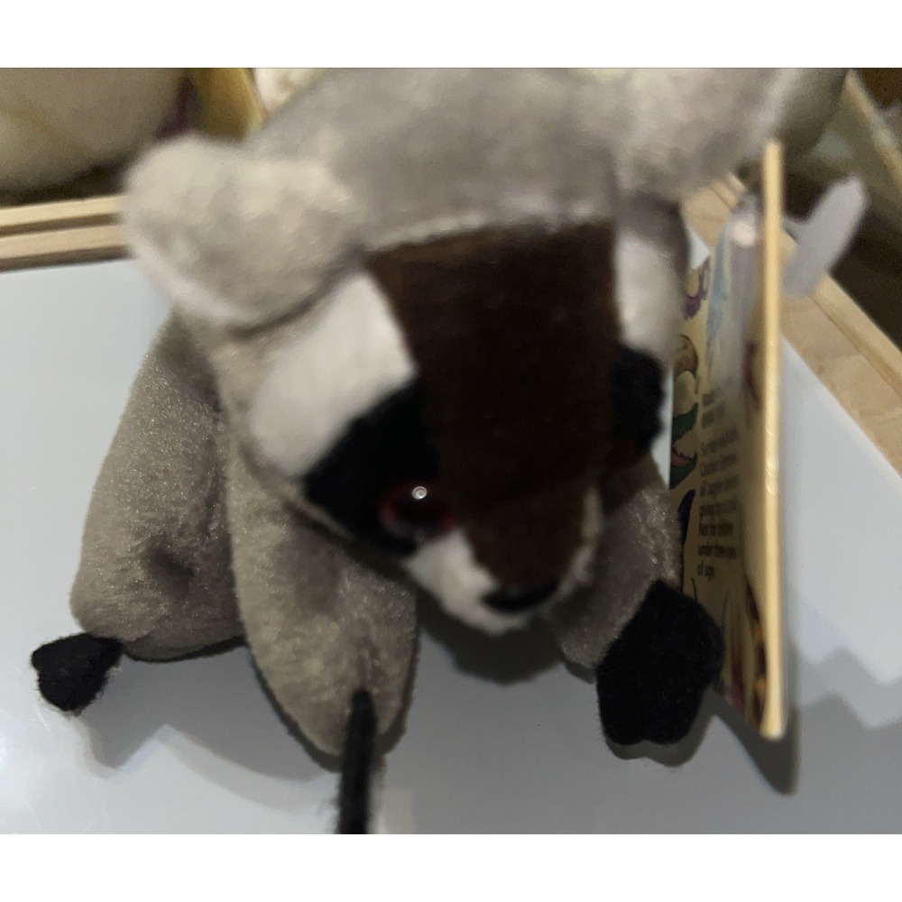 Big Wild and Wonderful‎ Raccoon Plush